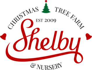 Shelby Christmas Tree Farm & Nursery